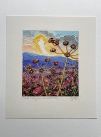 Tuna Canyon Seed Heads 