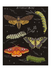 Image 1 of Natural history - Butterfly & moths 