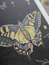 Image 3 of Natural history - Butterfly & moths 