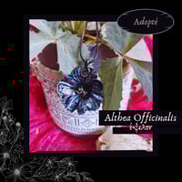 Image 4 of ☽ Althea Officinalis ☾