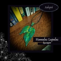 Image 14 of ☽ Humulus Lupulus ☾