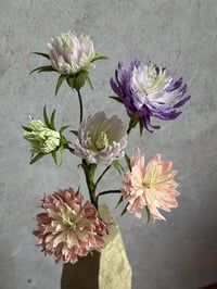 Image 2 of 🌕 Full Moon Bloom