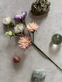 Image 4 of 🌕 Full Moon Bloom