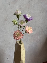 Image 1 of 🌕 Full Moon Bloom