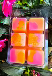 Image 4 of Tropic like it's hot- a Rockytop Wax Works exclusive custom houseblend fragrance 