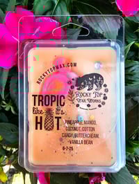 Image 6 of Tropic like it's hot- a Rockytop Wax Works exclusive custom houseblend fragrance 