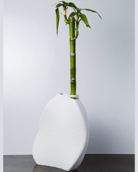 Image 5 of Dual-Purpose Remote Control Holder & Decorative Vase 