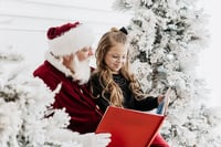 Image 1 of Dec 1, 2025 Santa Sessions! Session total is 229+gst