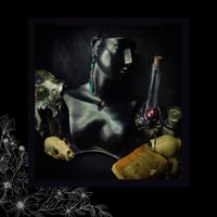 Image 2 of ☽ Aeshna Turquosa ☾