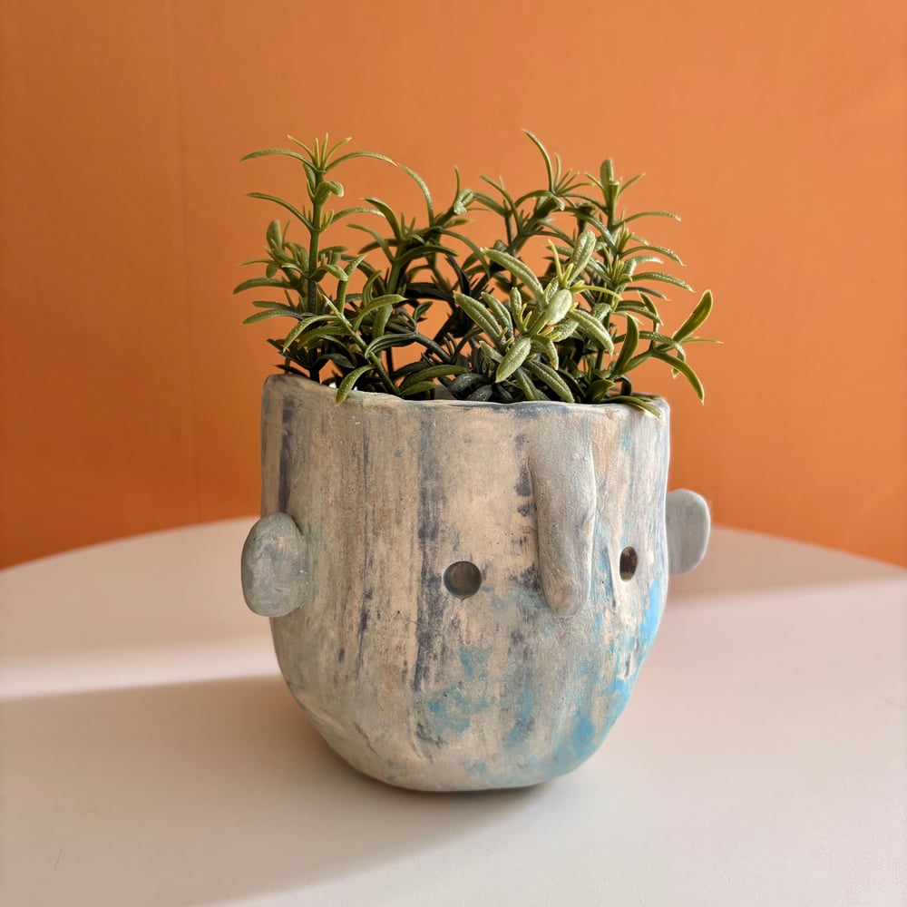 Image of Blue Marble Face Pot 