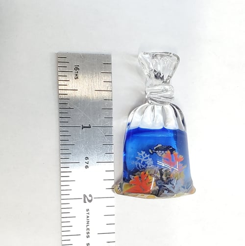 Image of Bagged reef pendant