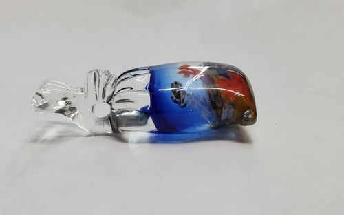 Image of Bagged reef pendant