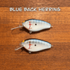 Epic Shad Junior