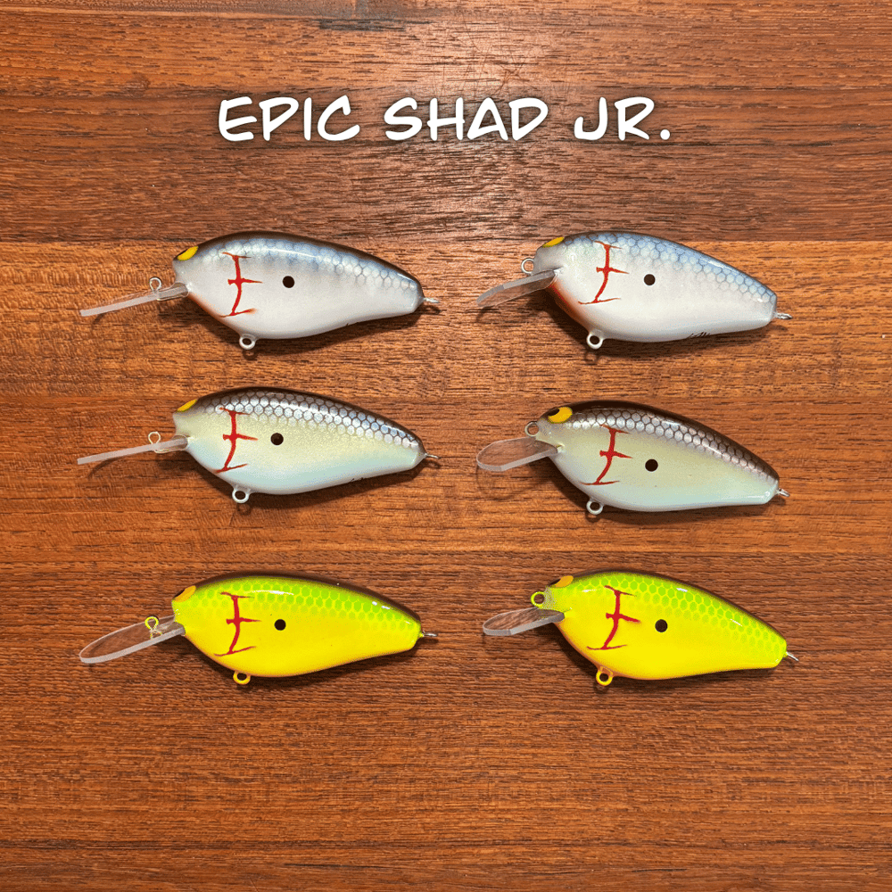 Epic Shad Junior