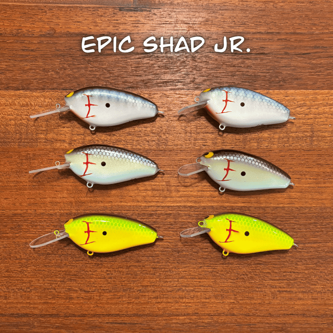Epic Shad Junior