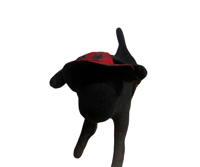 Image 2 of Buffalo Plaid Bucket Hat by Uncommon Paws 