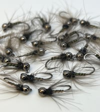Image 2 of Copperback Caddis