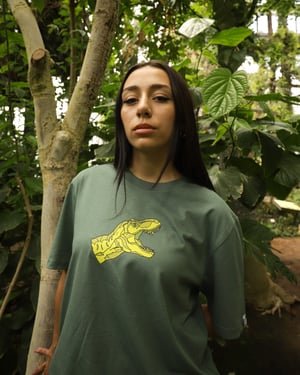 T-rex - Brasil 