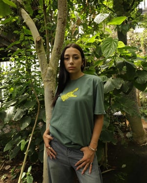 T-rex - Brasil 