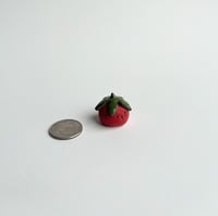 Image 2 of tiny tommie