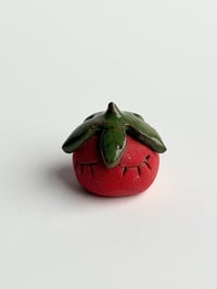 Image 1 of tiny tommie