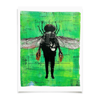 Image 1 of The Fly