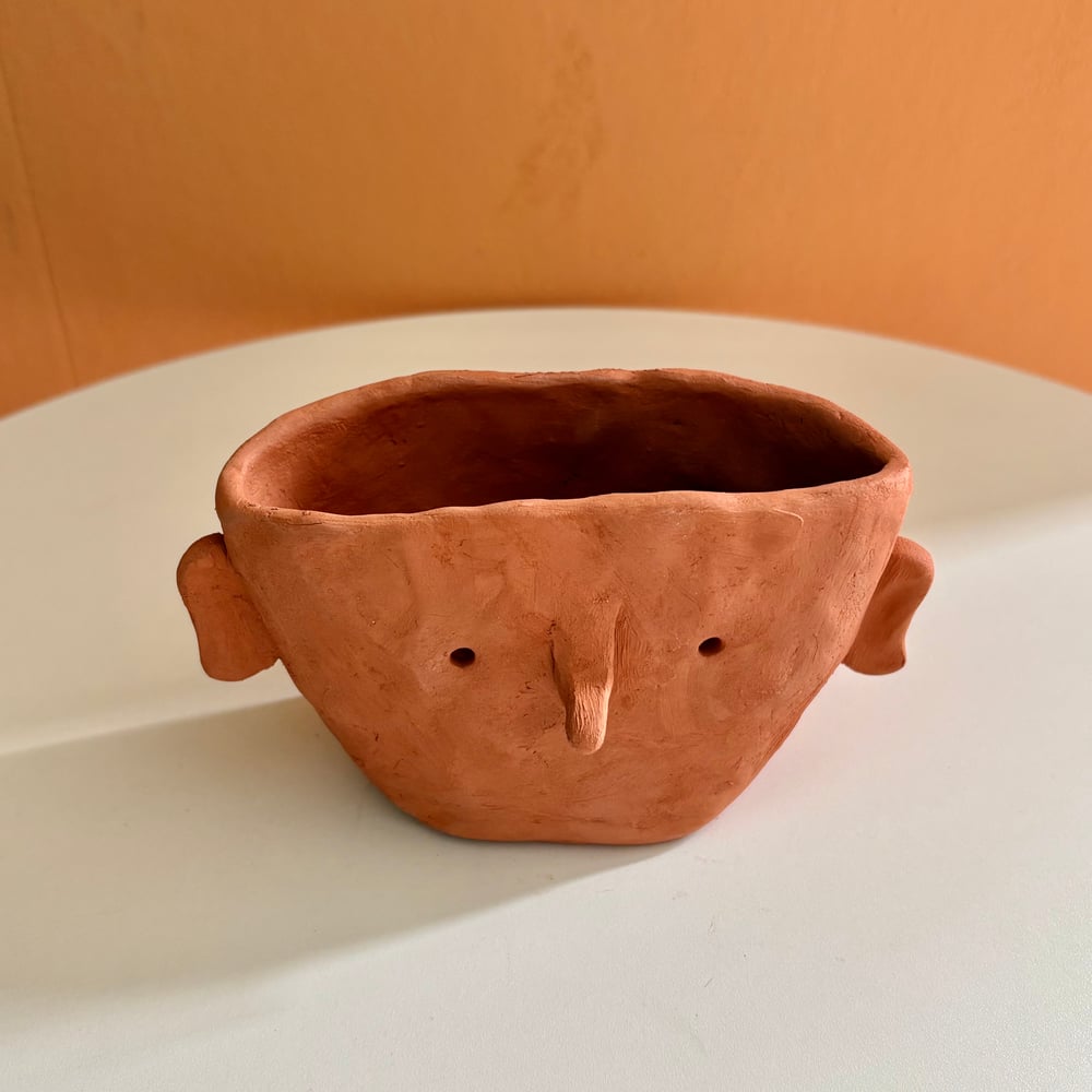 Image of Nosey head pot