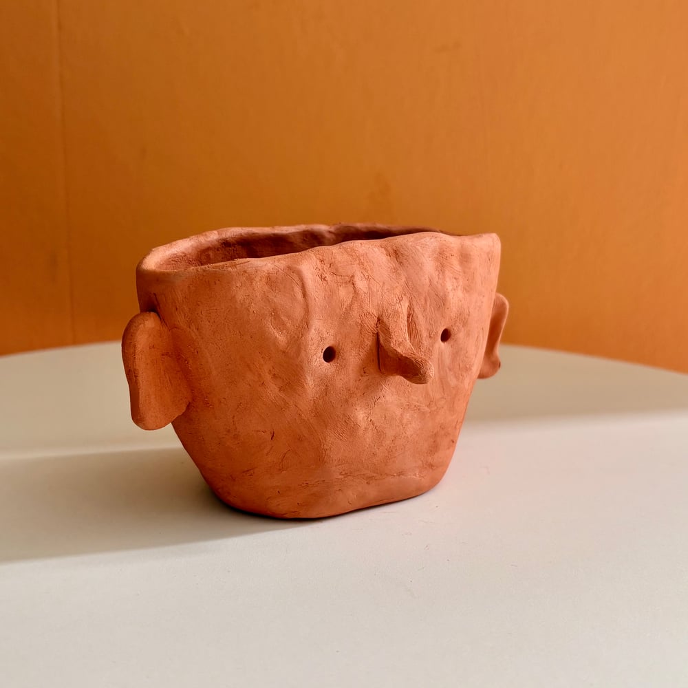 Image of Nosey head pot
