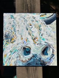 Image 1 of Heilan Coo Dreams, 10x10 Acrylic Highland Cow Painting on Canvas