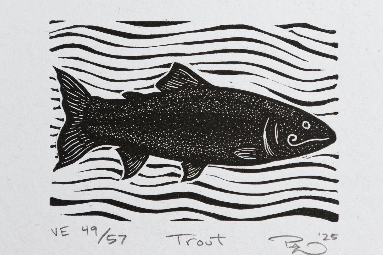 Trout | Paz Méndez Art