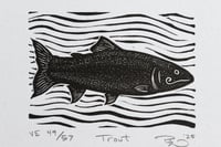 Image 4 of Trout