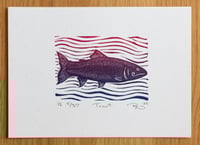 Image 1 of Trout
