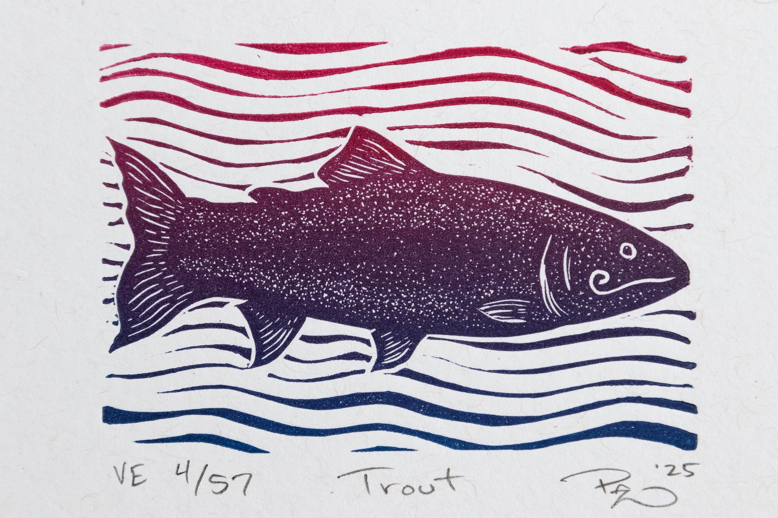 Trout | Paz Méndez Art