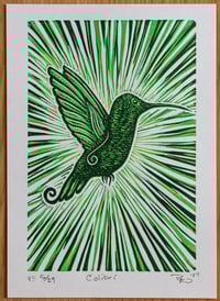 Image 3 of Colibri