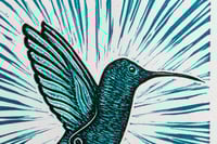 Image 2 of Colibri