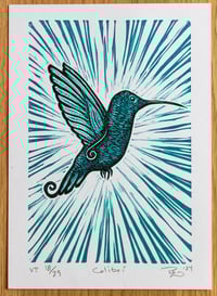 Image 1 of Colibri
