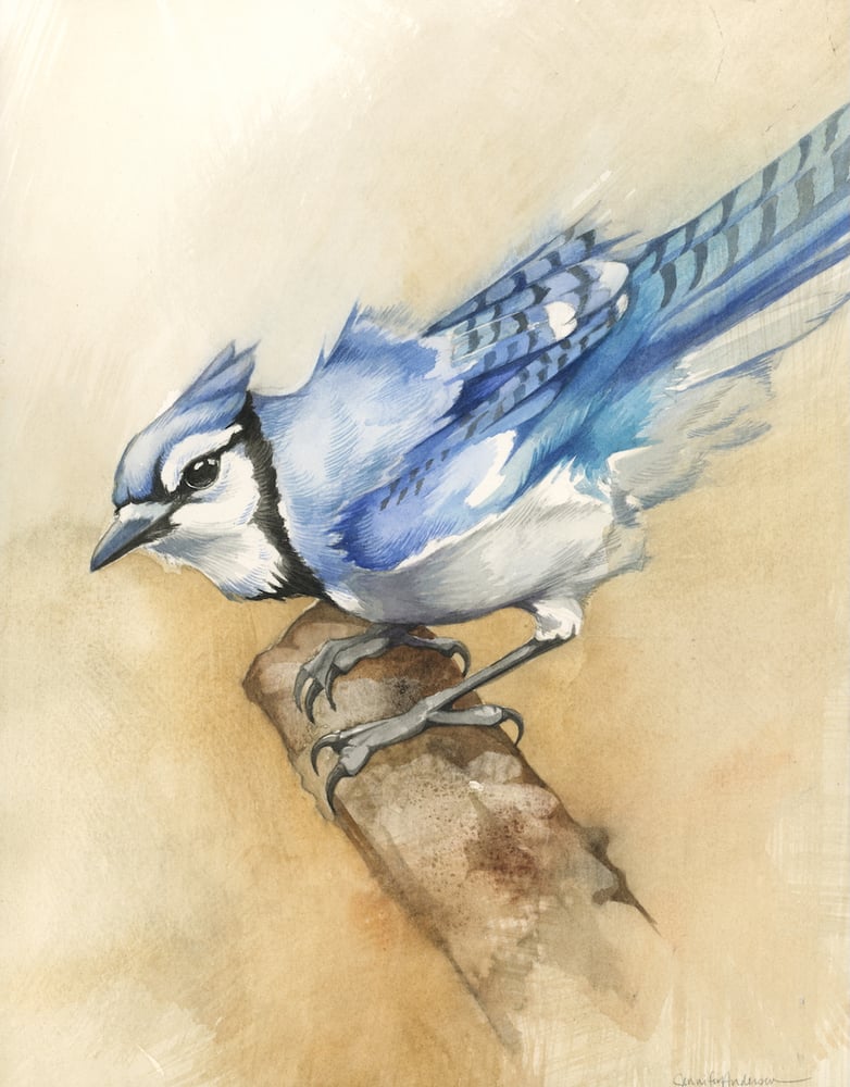 Image of The Breeze at Dawn (Blue Jay) – original watercolor on panel