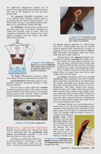 Image 4 of FEEDBACK ZINE 009 • April 2025