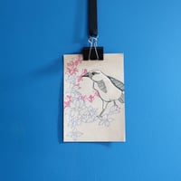 Bird & Flowers