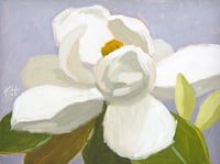 'Monday Magnolia, No.5' - archival print