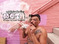 Addicted to the METHid A Visual by Issac Mendoza