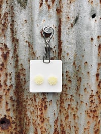 Pale Yellow Dahlia Studs