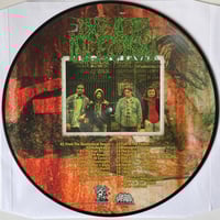 Image 2 of Dead infection "a chapter of accidents"  12' picture disc