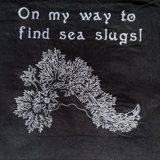 On my way to find sea slugs! Tote Bag