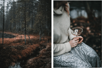 Image 3 of on the bookshelf - nordic winter {1 left}