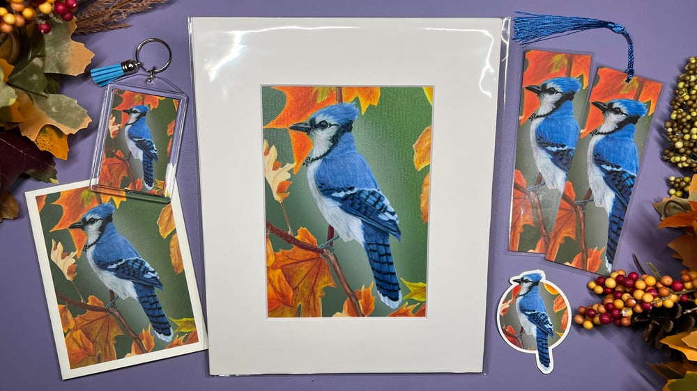 Image of Blue Jay