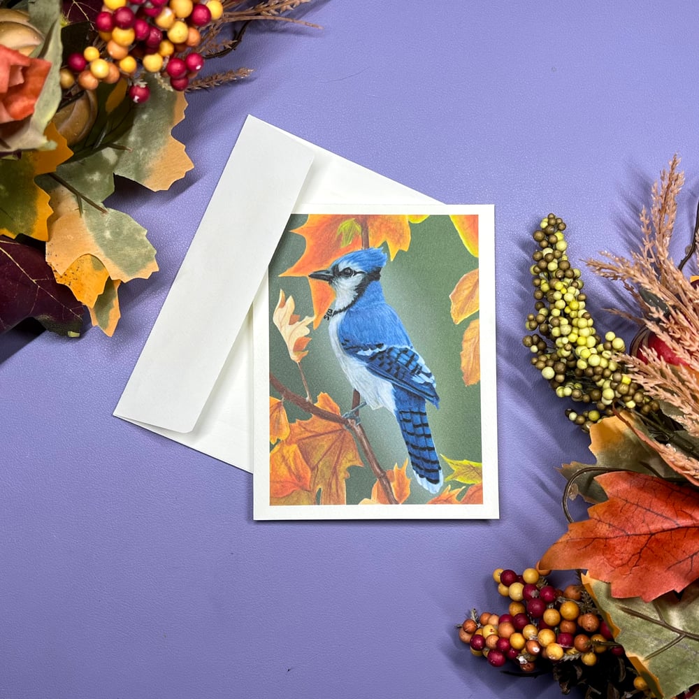 Image of Blue Jay