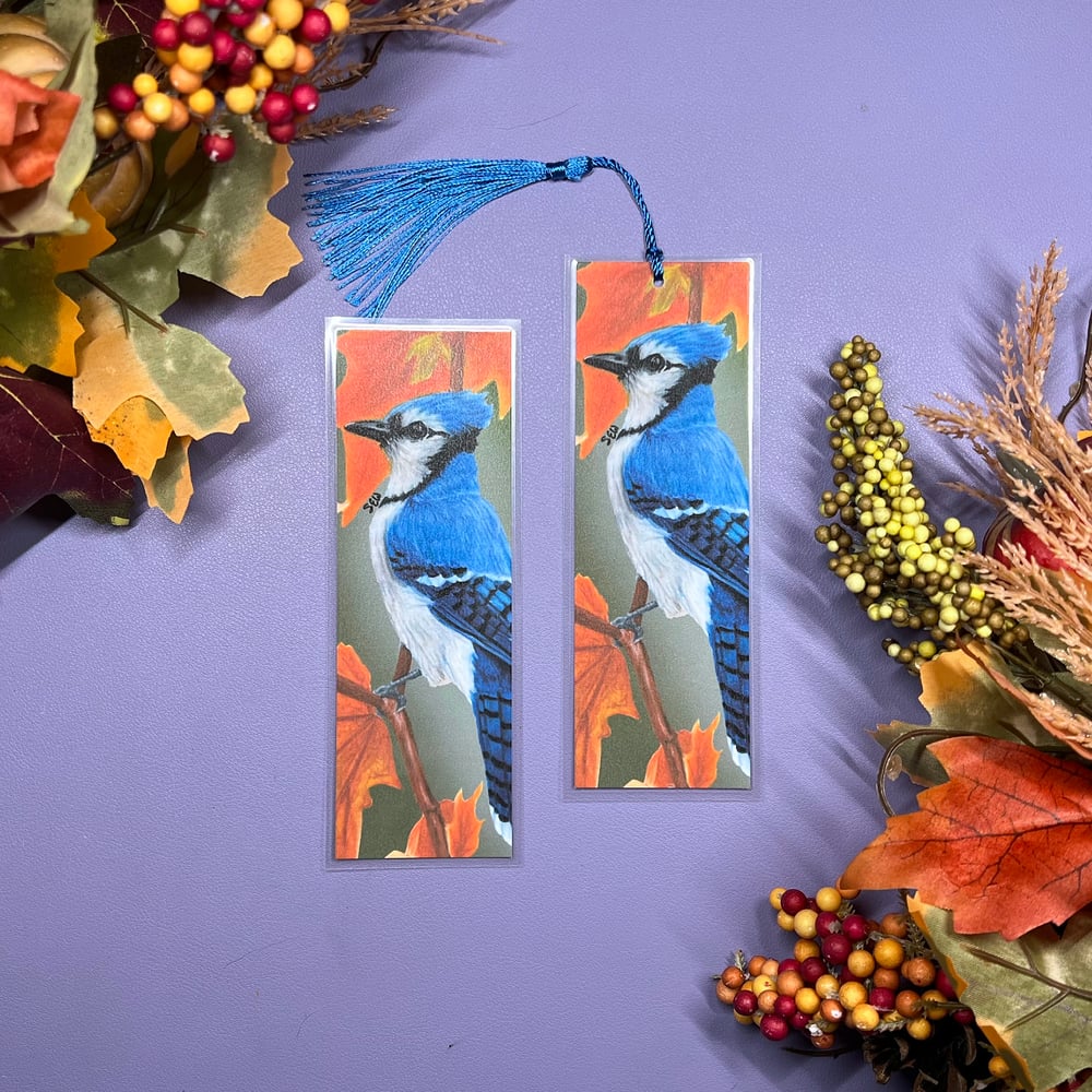 Image of Blue Jay