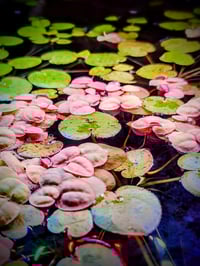 Image 4 of WEEK AQUA Mini 9 Pro