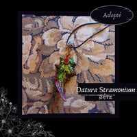 Image 3 of ☽ Datura Stramonium ☾